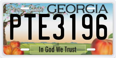GA license plate PTE3196