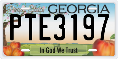 GA license plate PTE3197