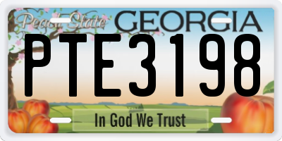 GA license plate PTE3198
