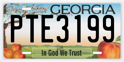 GA license plate PTE3199