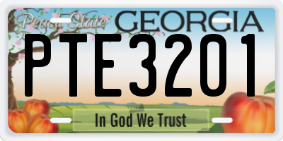 GA license plate PTE3201