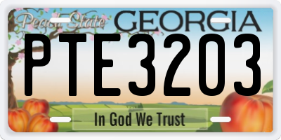 GA license plate PTE3203