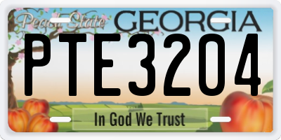 GA license plate PTE3204