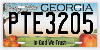 GA license plate PTE3205
