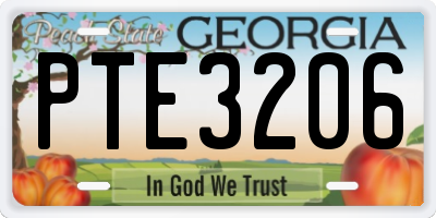 GA license plate PTE3206