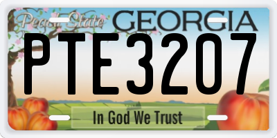 GA license plate PTE3207