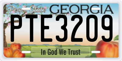 GA license plate PTE3209