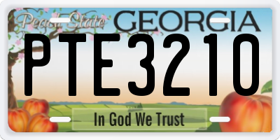 GA license plate PTE3210