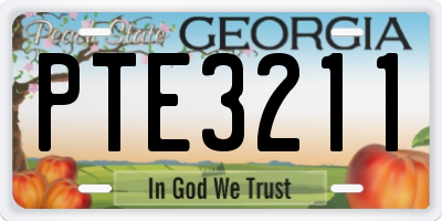GA license plate PTE3211