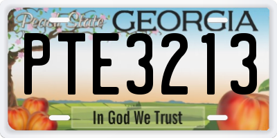 GA license plate PTE3213