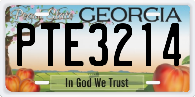 GA license plate PTE3214