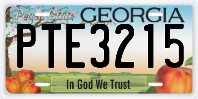 GA license plate PTE3215