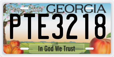 GA license plate PTE3218