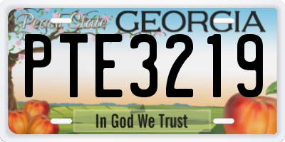 GA license plate PTE3219