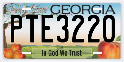 GA license plate PTE3220