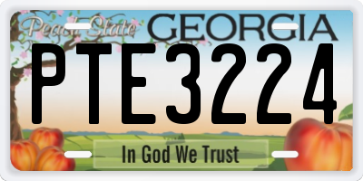 GA license plate PTE3224