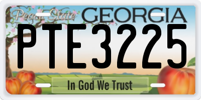 GA license plate PTE3225