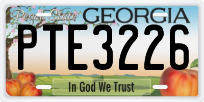 GA license plate PTE3226