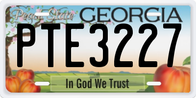 GA license plate PTE3227