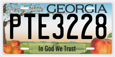 GA license plate PTE3228