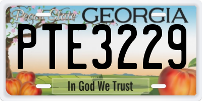 GA license plate PTE3229