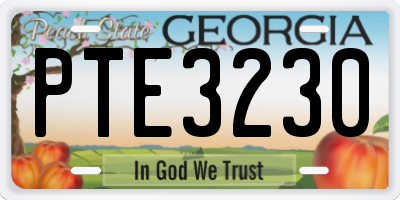 GA license plate PTE3230