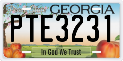 GA license plate PTE3231