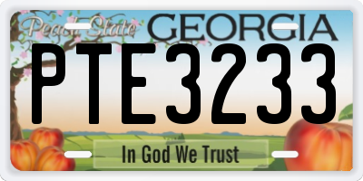 GA license plate PTE3233