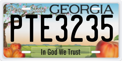 GA license plate PTE3235