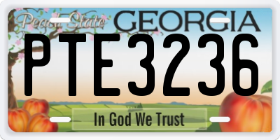GA license plate PTE3236