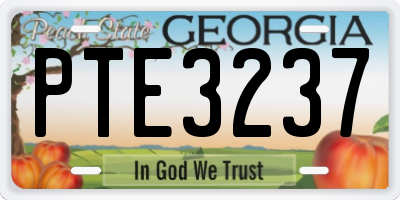 GA license plate PTE3237