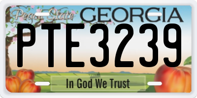GA license plate PTE3239