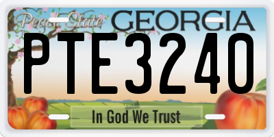 GA license plate PTE3240