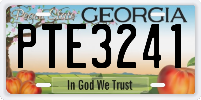 GA license plate PTE3241