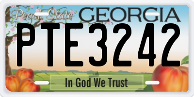 GA license plate PTE3242