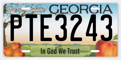 GA license plate PTE3243