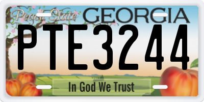GA license plate PTE3244