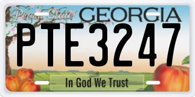 GA license plate PTE3247