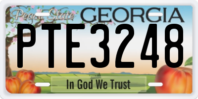 GA license plate PTE3248