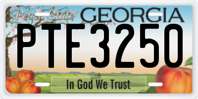 GA license plate PTE3250