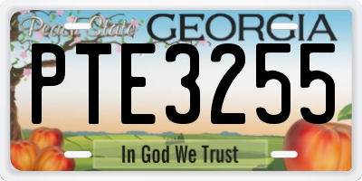 GA license plate PTE3255