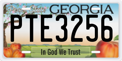 GA license plate PTE3256