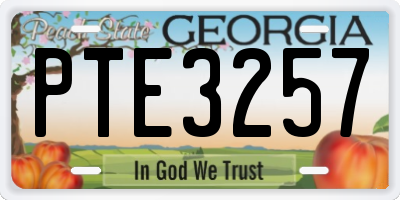 GA license plate PTE3257