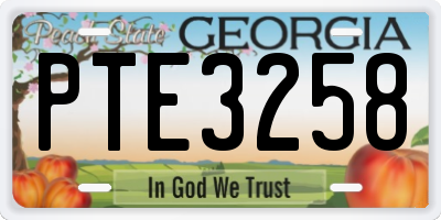 GA license plate PTE3258