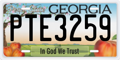 GA license plate PTE3259