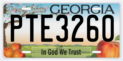 GA license plate PTE3260