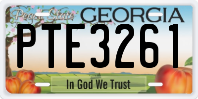 GA license plate PTE3261