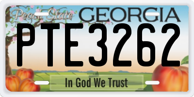 GA license plate PTE3262