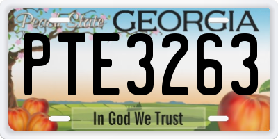 GA license plate PTE3263