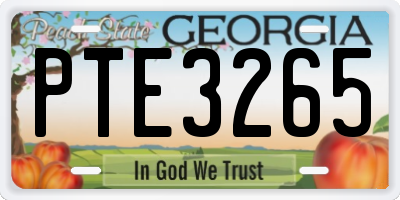GA license plate PTE3265